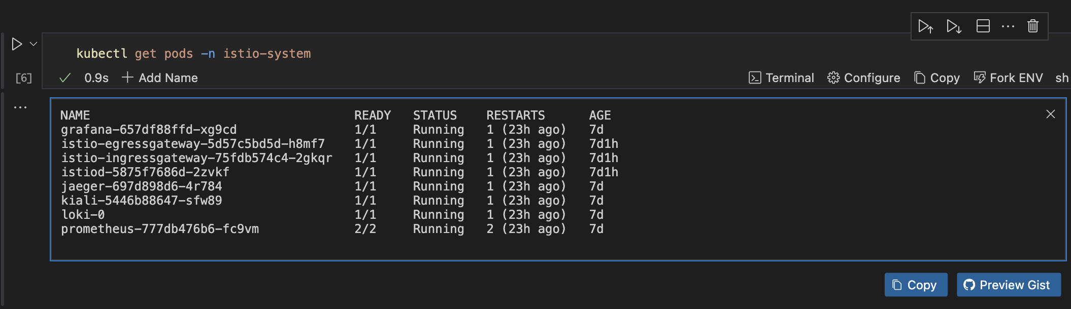 get istio-system pods